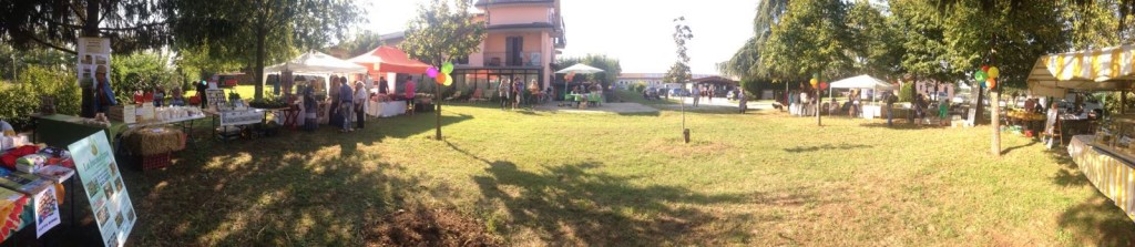 IMG-20160924-WA0010
