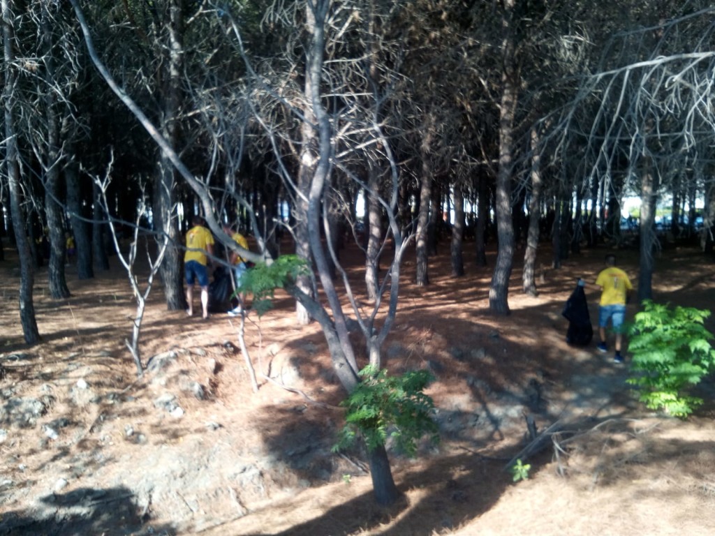 IMG-20180808-WA0028